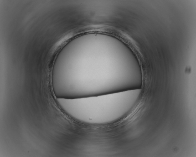X0000090981411200708021132