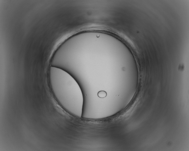 X0000090981413200708021132