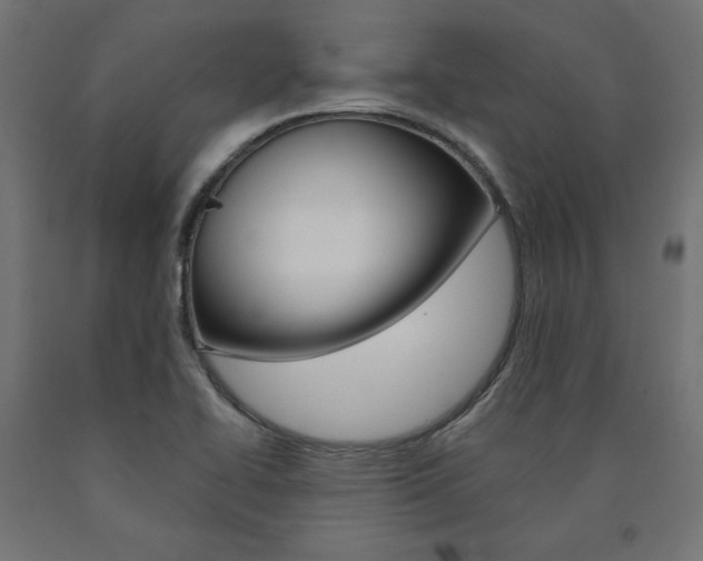 X0000090981414200708021132