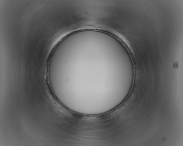 X0000090981415200708021132