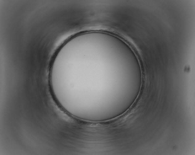 X0000090981416200708021132