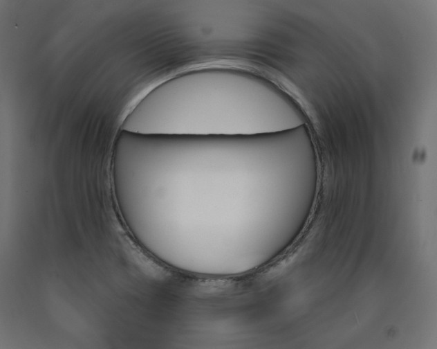 X0000090981417200708021132