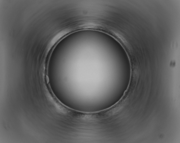 X0000090981418200708021132