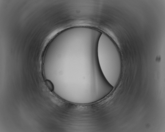 X0000090981419200708021132