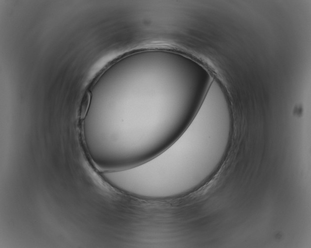 X0000090981422200708021132