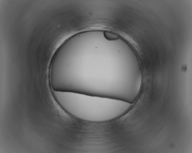 X0000090981423200708021132