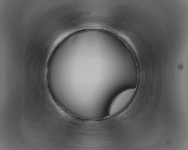 X0000090981424200708021132