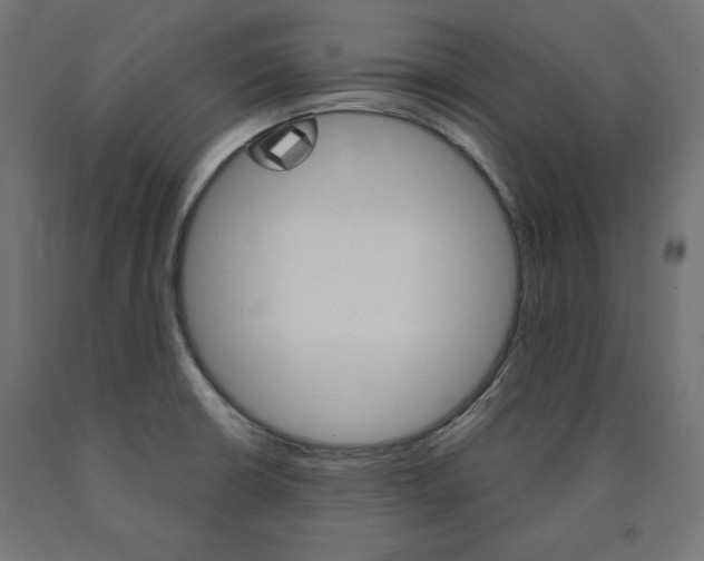 X0000090981426200708021132