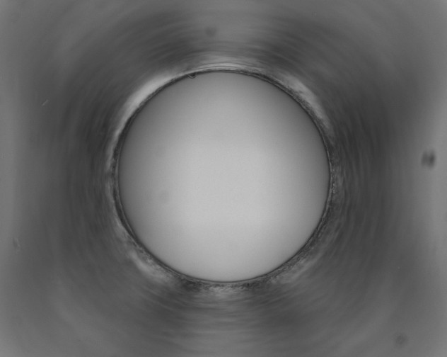 X0000090981427200708021132