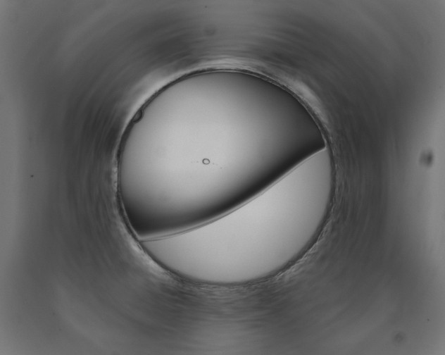 X0000090981428200708021132