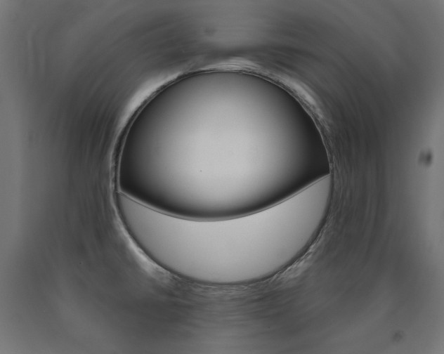 X0000090981430200708021132