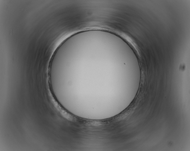 X0000090981431200708021132