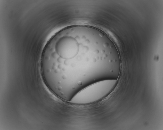 X0000090981432200708021132