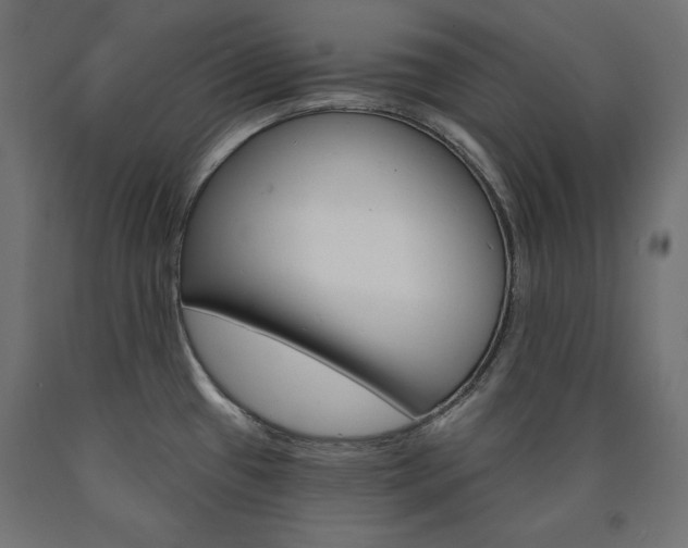 X0000090981433200708021132