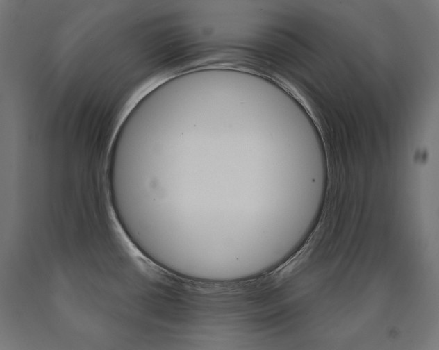 X0000090981434200708021132