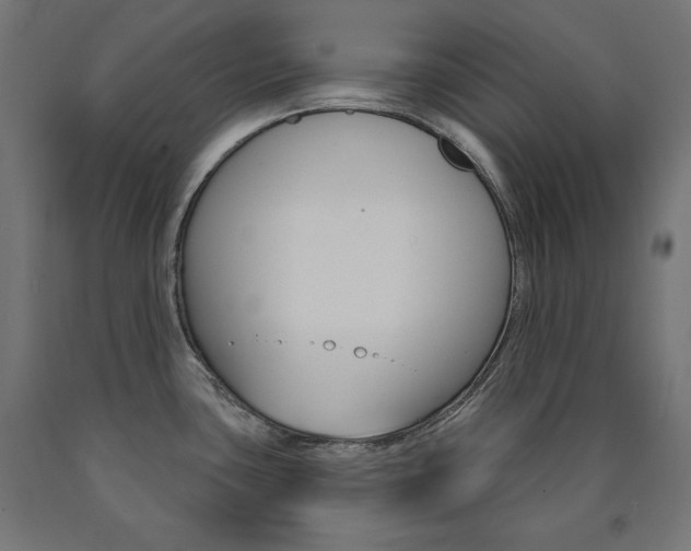X0000090981435200708021132