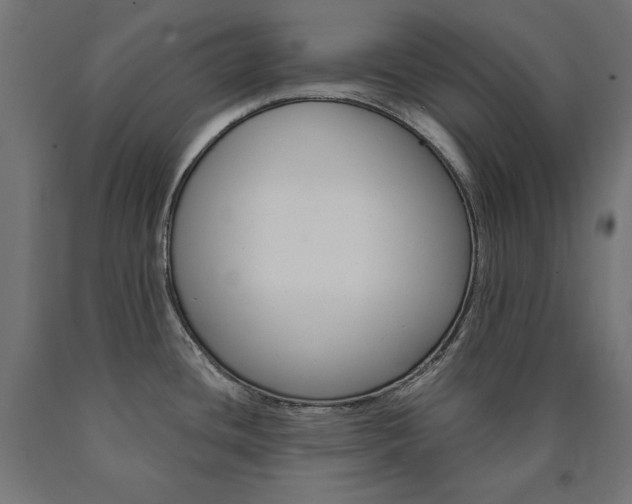 X0000090981436200708021132