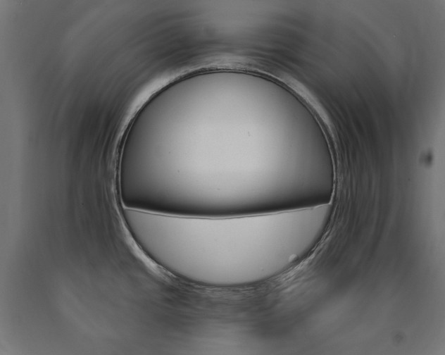 X0000090981437200708021132