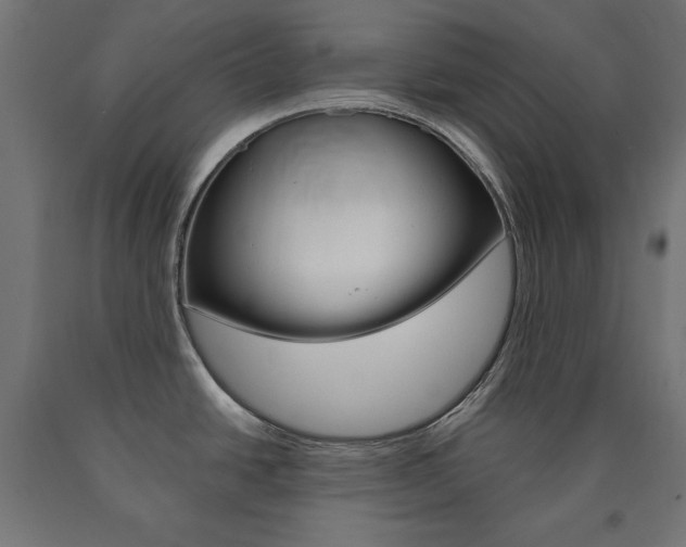 X0000090981438200708021132
