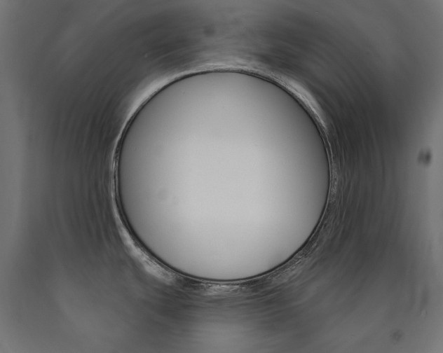 X0000090981439200708021132