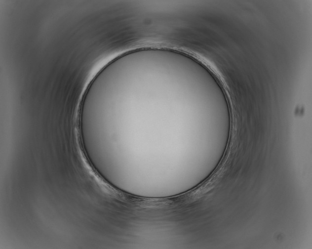X0000090981440200708021132