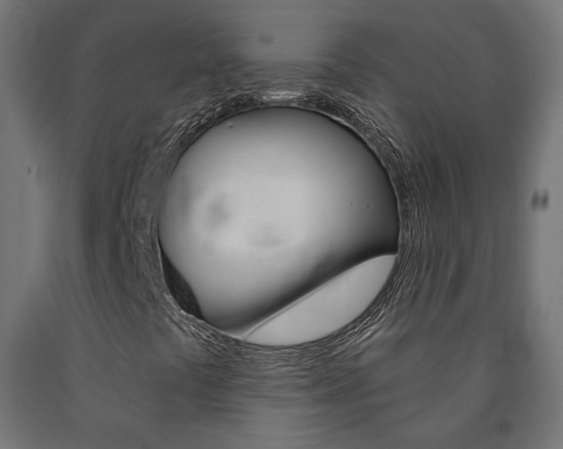 X0000090981441200708021131