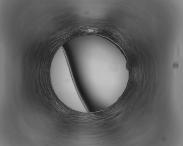 X0000090981442200708021131