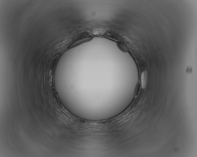 X0000090981443200708021131