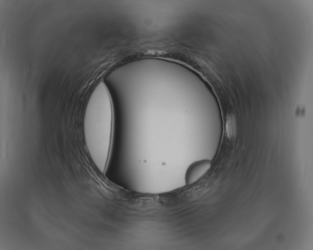 X0000090981444200708021131