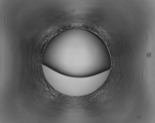 X0000090981445200708021131