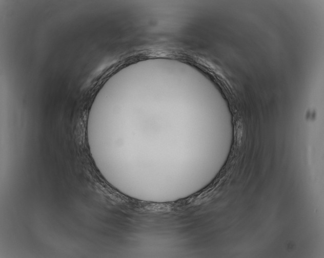 X0000090981446200708021131