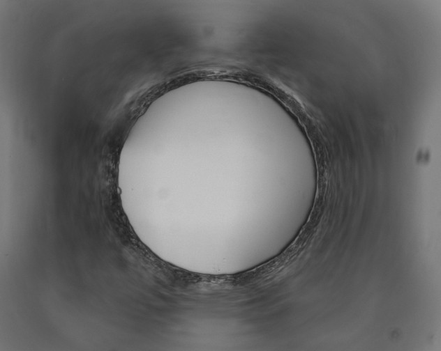 X0000090981447200708021131