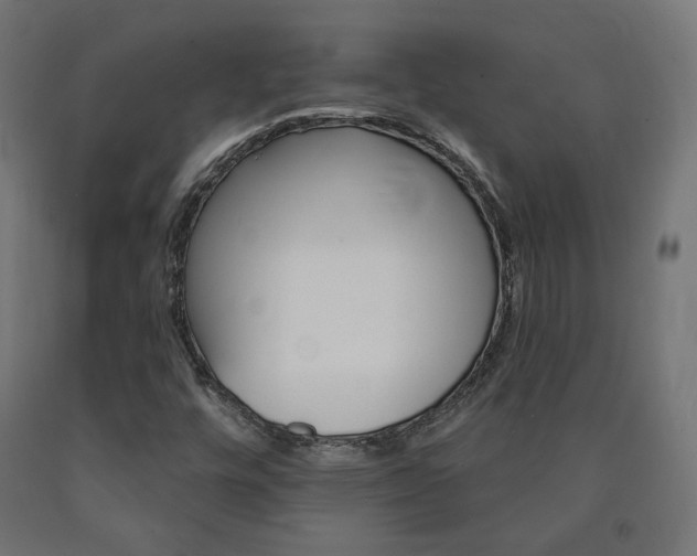 X0000090981448200708021131