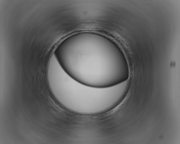 X0000090981449200708021131