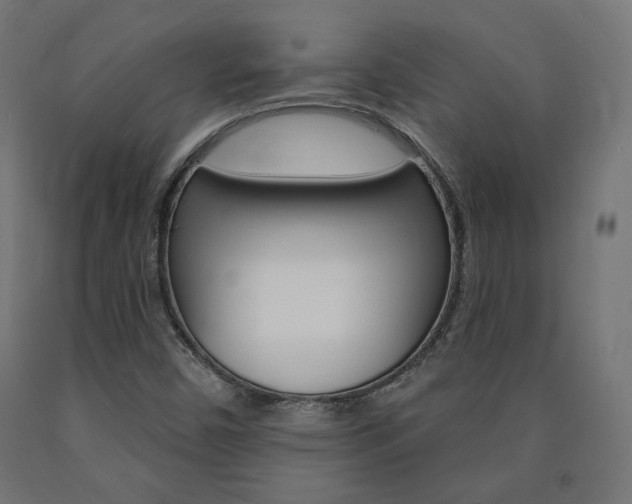 X0000090981450200708021131