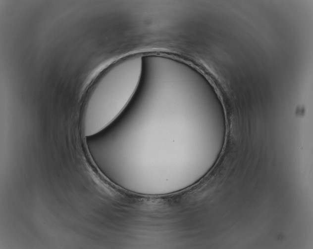 X0000090981452200708021131