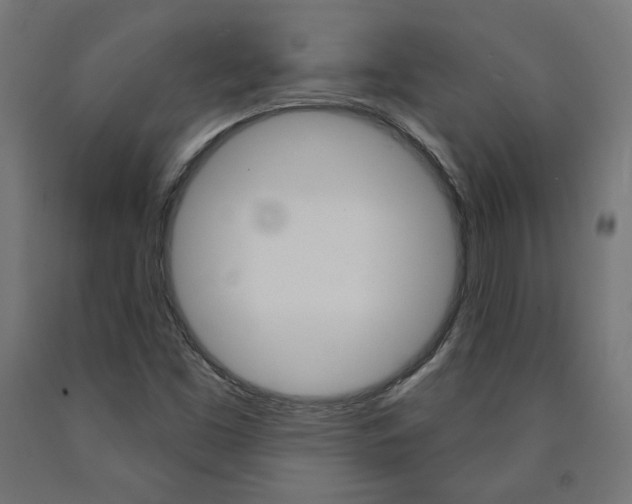 X0000090981453200708021131