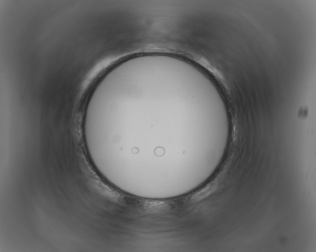 X0000090981454200708021131