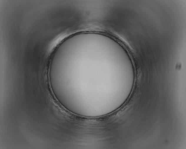 X0000090981455200708021131