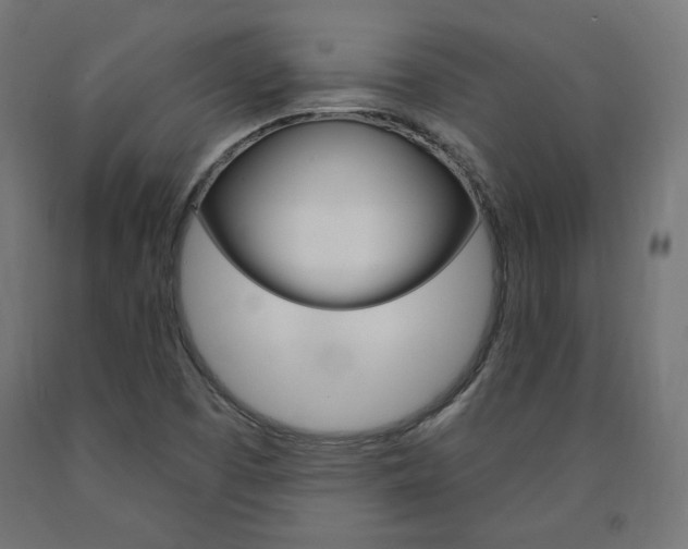 X0000090981457200708021131