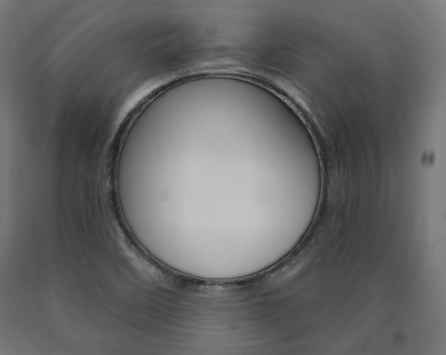 X0000090981458200708021131