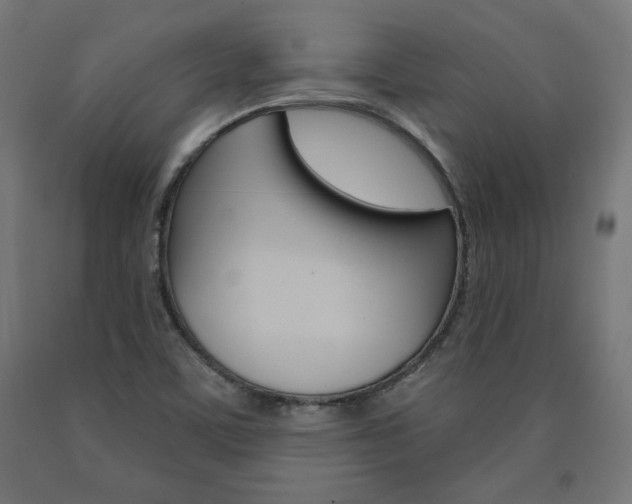 X0000090981459200708021131