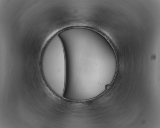 X0000090981460200708021131
