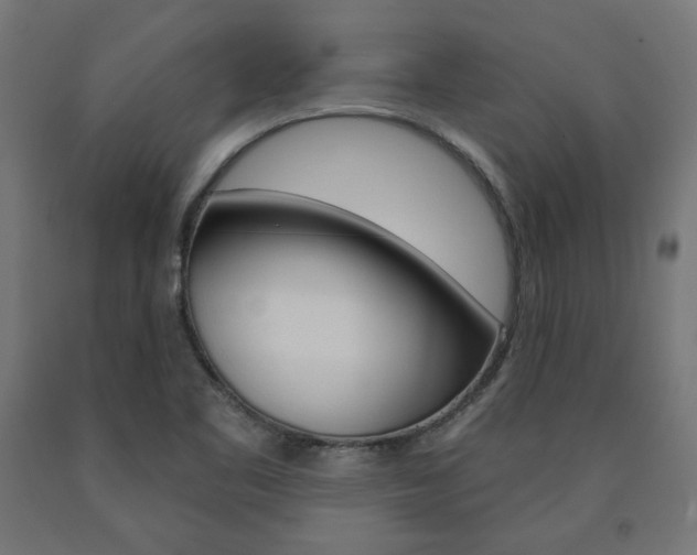 X0000090981461200708021131