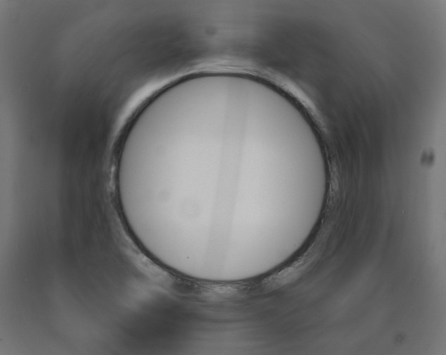 X0000090981462200708021131