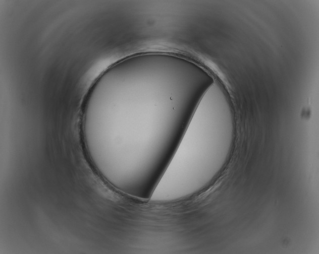 X0000090981463200708021131