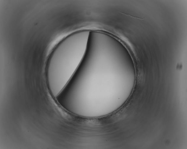 X0000090981464200708021131