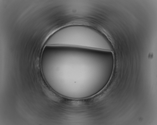 X0000090981465200708021131