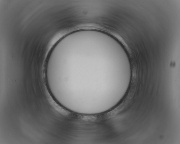 X0000090981466200708021131