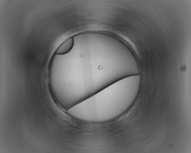 X0000090981467200708021131